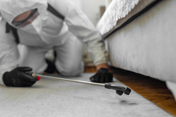 Professional Bed Bug Control technician working in Pottawatomie County County, KS